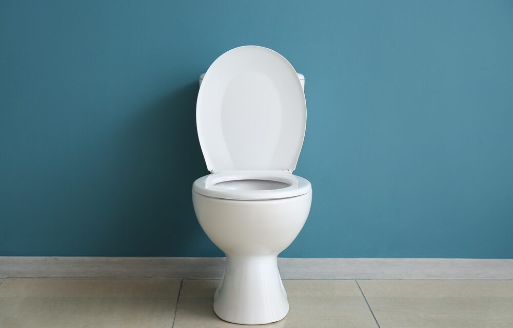 The Elevated Challenges of Toilet Replacement in High-Rise Residences: What You Need to Know