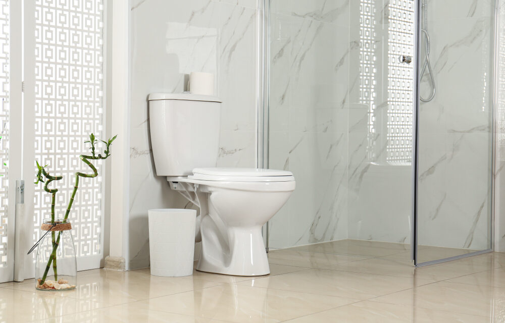 Modern Toilet Replacement in High-Rise Living: 10 Transformative Benefits